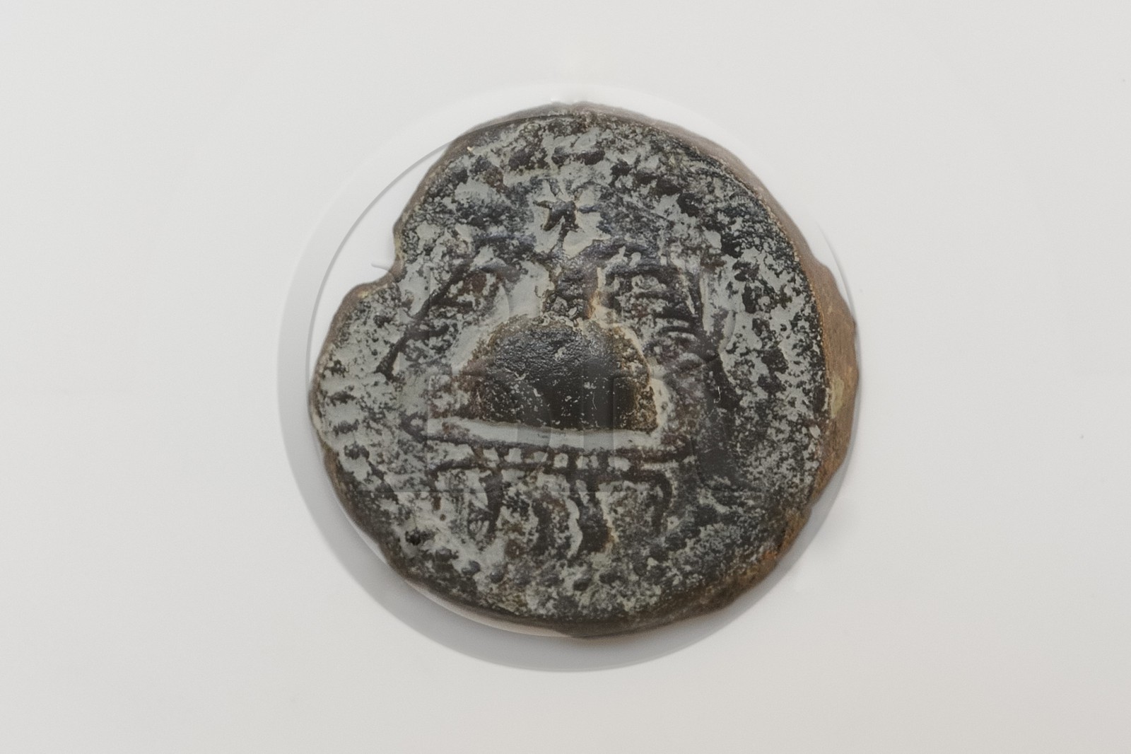 Israel, Jerusalem, Davidson Center, bronze coin of king Herod the Great dated to 37 BCE representing a helmet flanked by two palm branches