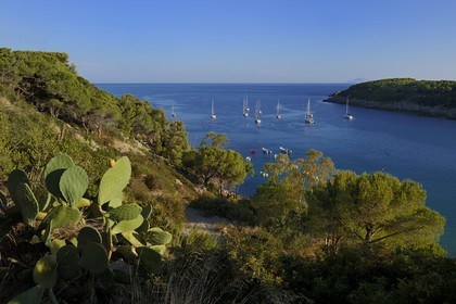 Italie, Toscane, l’Ile d’Elbe, voilier au mouillage dans la rade de Fetovaia sur la cote Sud