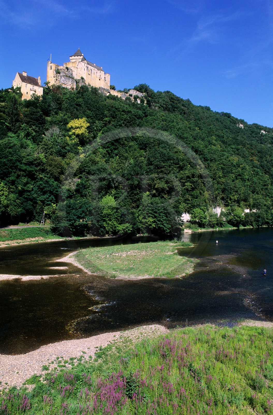 France, Dordogne (24), château de Castelnaud-la-Chapelle surplombant la Dordogne