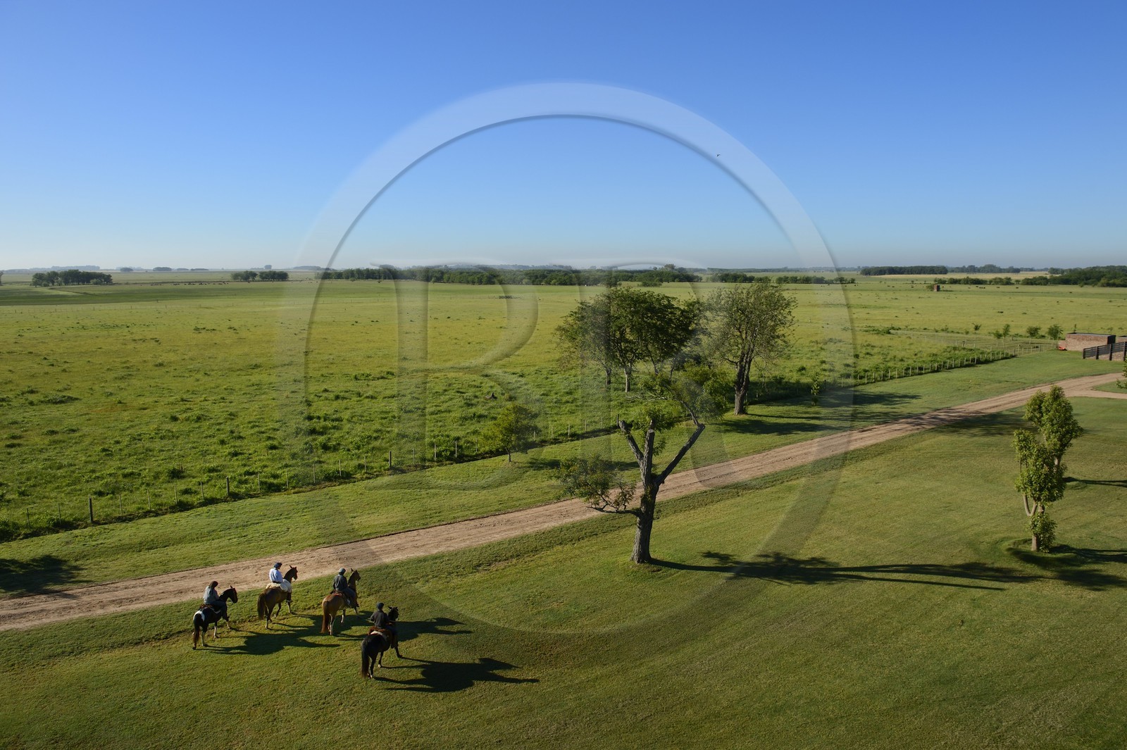 Argentine, province de Buenos Aires, San Antonio de Areco, estancia La Bamba de Areco, gauchos à cheval sur l'estancia en bordure de la pampa