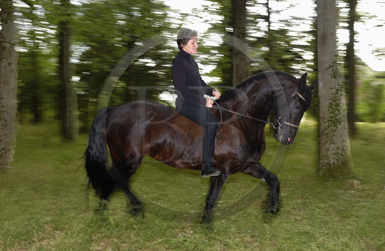 France, l'artiste Marie Laurence de Chauvigny de Blot