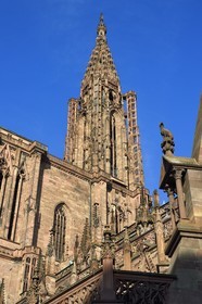 France, Bas-Rhin (67), Strasbourg, vieille ville classée au Patrimoine Mondial de l'UNESCO, la cathédrale Notre-Dame, facade sud, chien (un braque) perché sur un édicule abritant un cadran solaire (XIIIème siècle)