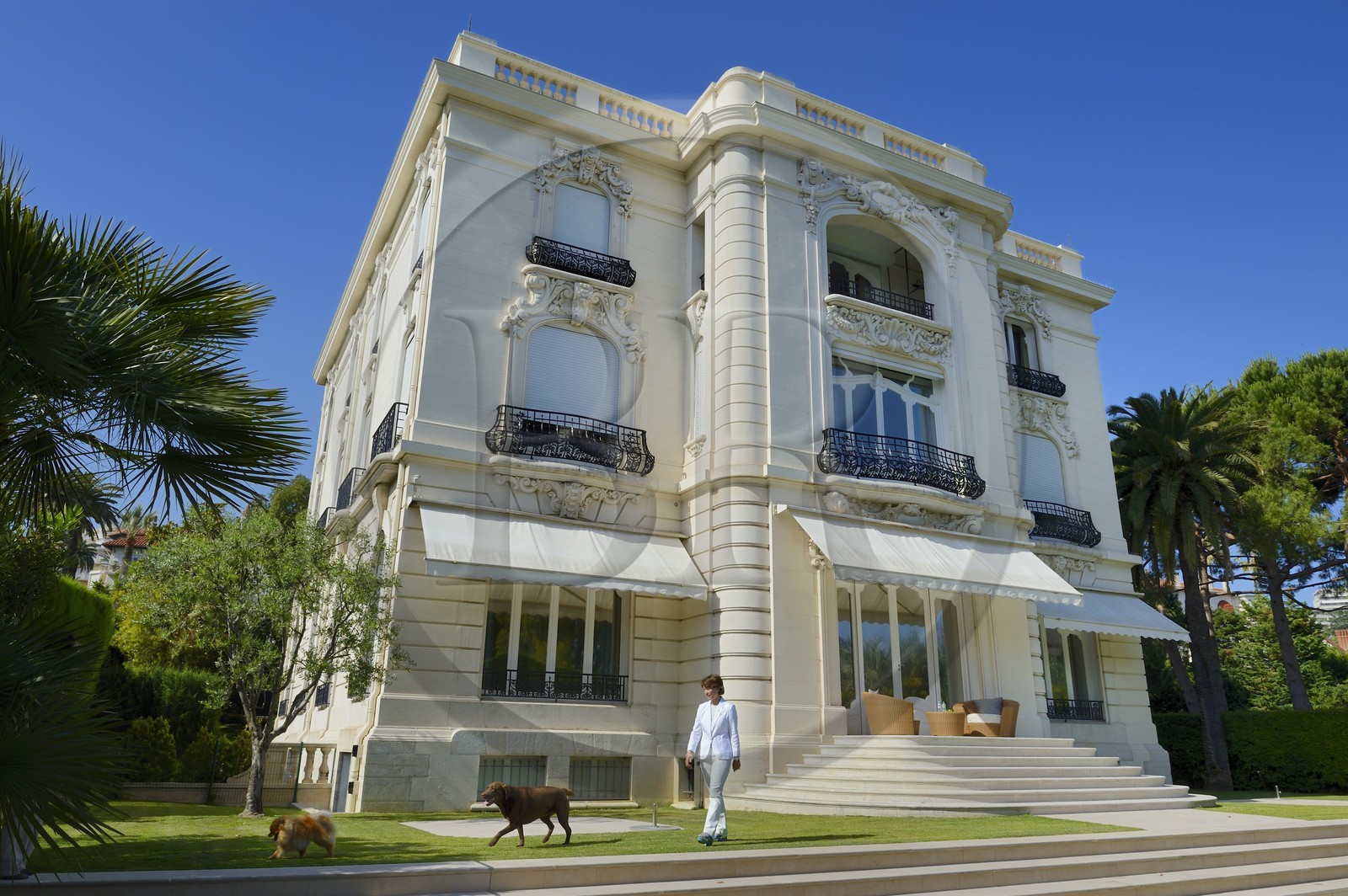France, Alpes-Maritimes (06), Cannes, la villa La Californie où vécu Pablo Picasso, aujourd'hui renommé le Pavillon de Flore par Marina Picasso, Marina Picasso petite fille de Picasso en compagnie de ses chiens