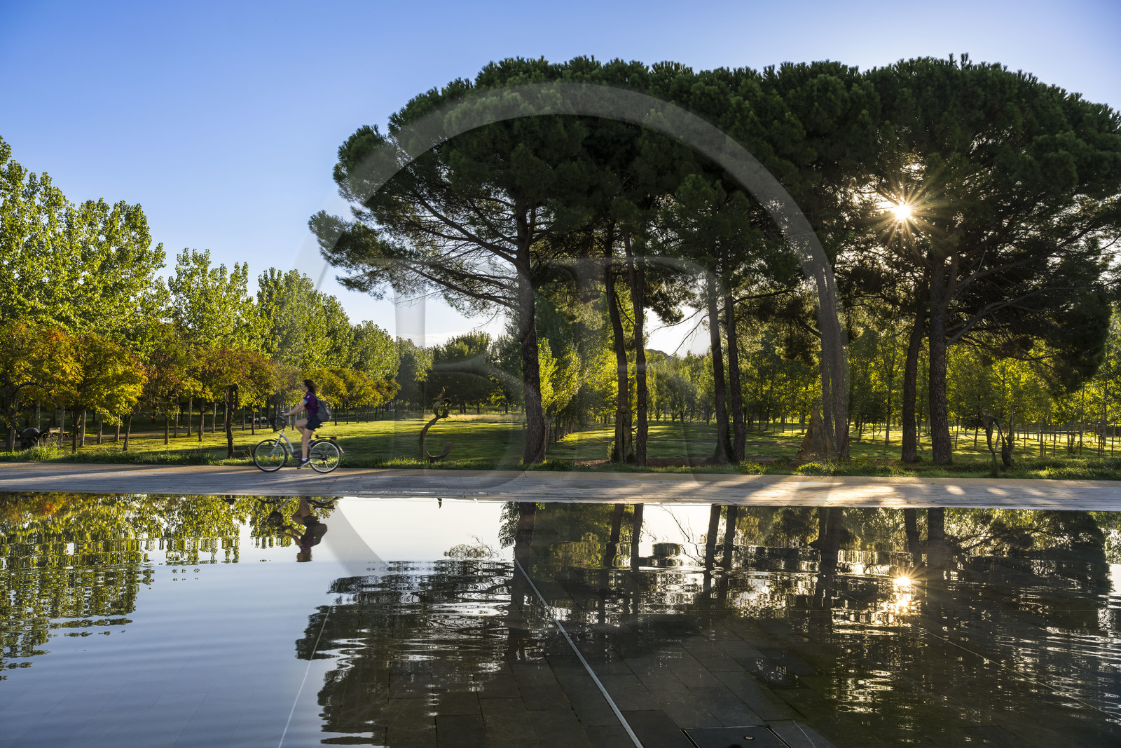 France, Hérault (34), Montpellier,  quartier de Port Marianne, le miroir d'eau sur l'avenue Raymond Dugrand en bordure du Parc Georges Charpak