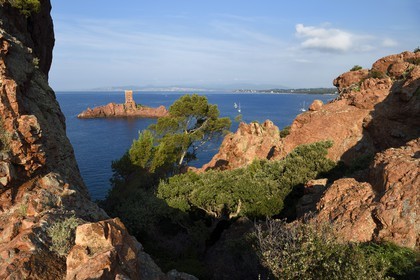 France, Var (83), Agay commune de Saint-Raphaël, massif de l'Estérel, la Corniche d'Or, la tour de l'Ile d'Or au large du cap du Dramont