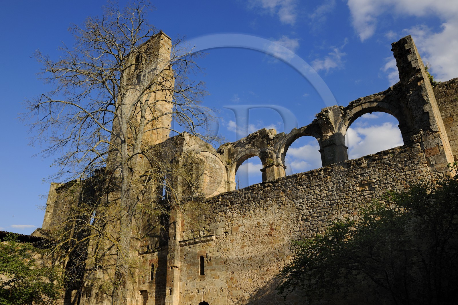 France, Aude, Alet les Bains, medieval village and romanesque Benedictine abbey of XIth century