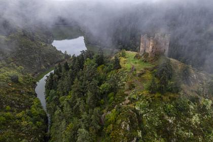 France, Cantal (15), Gorges de la Truyère, Alleuze, ruines féodales perchées du château fort d'Alleuze du XIIIe siècle reconstruit en 1405 (vue aérienne)