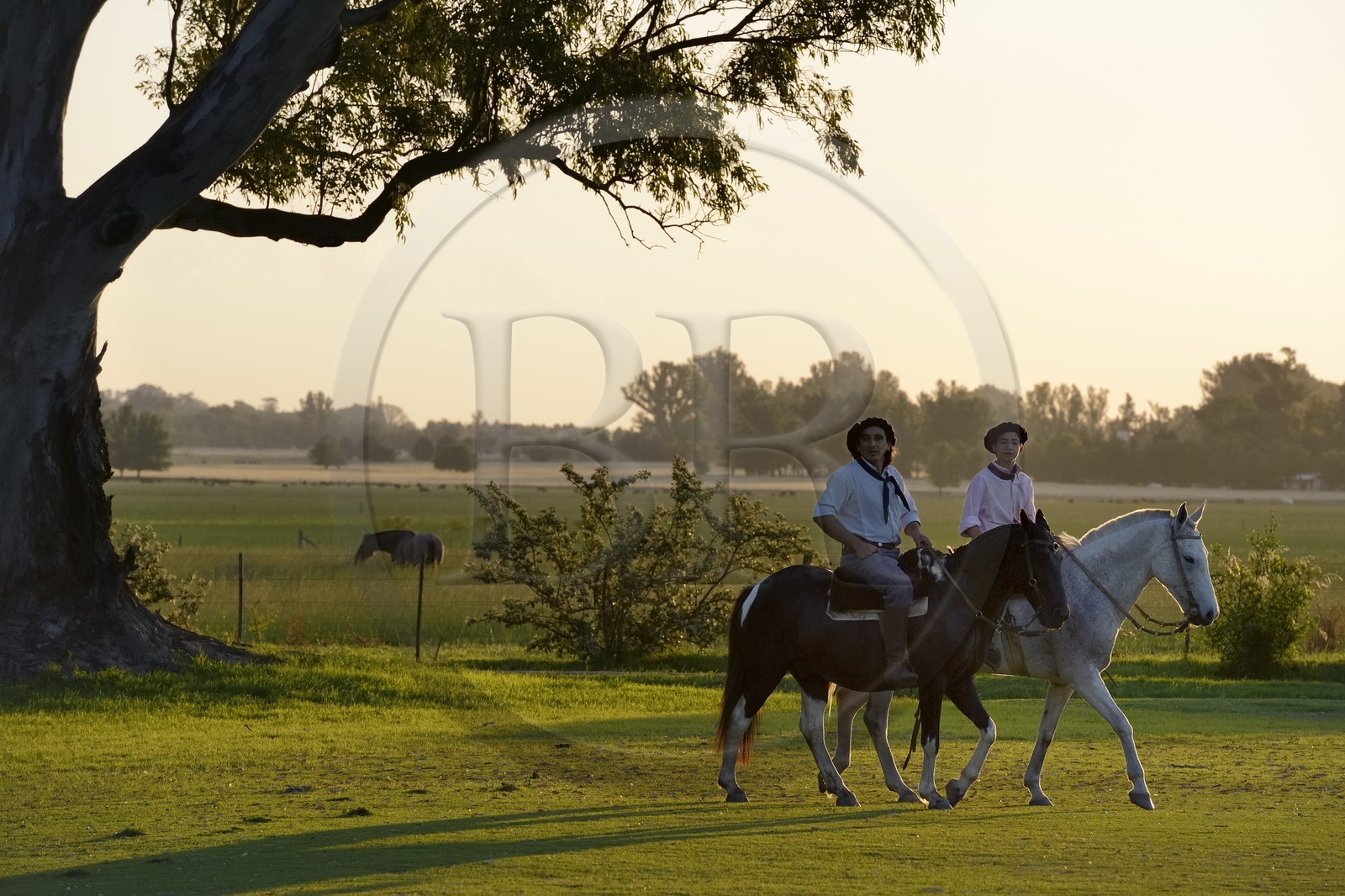 Argentine, province de Buenos Aires, San Antonio de Areco, gauchos dans l'estancia La Bamba de Areco