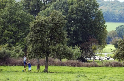 Belgique, Wallonie, la campagne de la province de Liège
