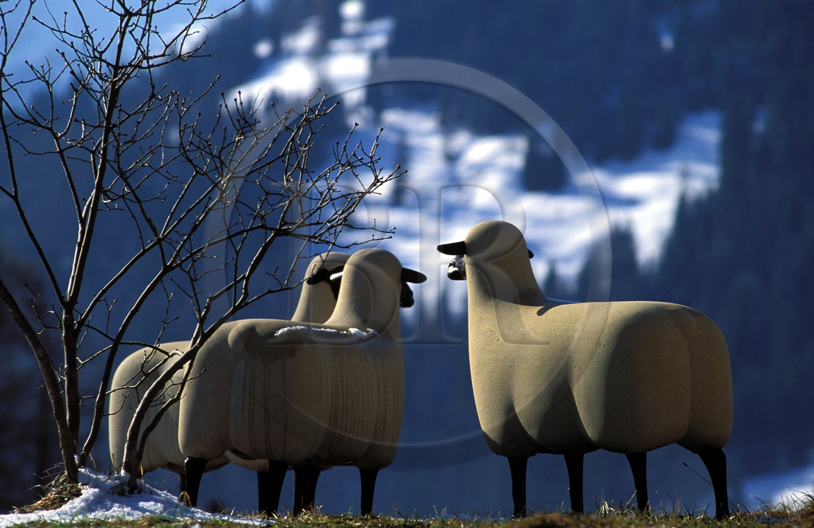 Suisse, région de Bern (Oberland Bernois), Saanenland, Galerie d'art contemporain Saqqârah à Gstaad