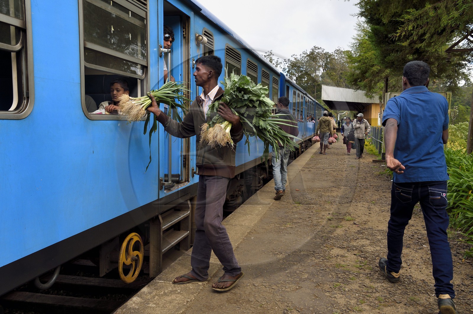 Sri Lanka, Province d'Uva, trajet en train dans la région montagneuse de la culture du thé entre Hatton et Ella, vendeurs ambulants de légumes à la gare de Ambewela