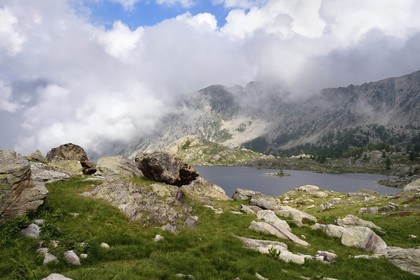 France, Alpes-Maritimes, parc national du Mercantour (Mercantour National Park), the Vallee des Merveilles (Valley of Wonders) scattered with thousands of rupestral engravings of the Bronze Age, the Fourcat lake