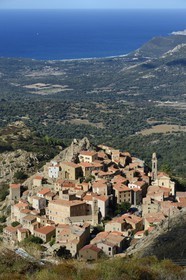 France, Haute-Corse (2B), Balagne, village perché de Speloncato