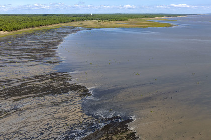 France, Charente-Maritime (17), Royan, Les Mathes, la baie de Bonne Anse à marée basse (vue aérienne)