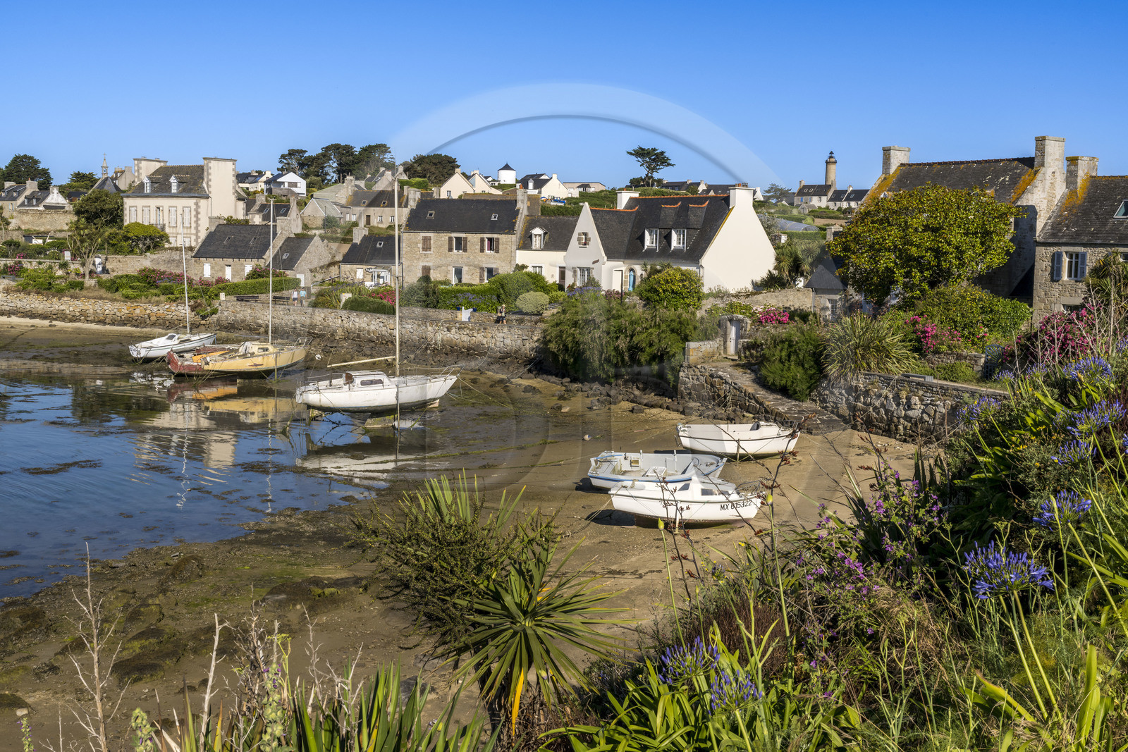 France, Finistère (29), Iles du Ponant, Ile de Batz, Porz an Eog, ancien port des goélettes et maisons d'armateurs dans le Bourg, le phare en arrière plan