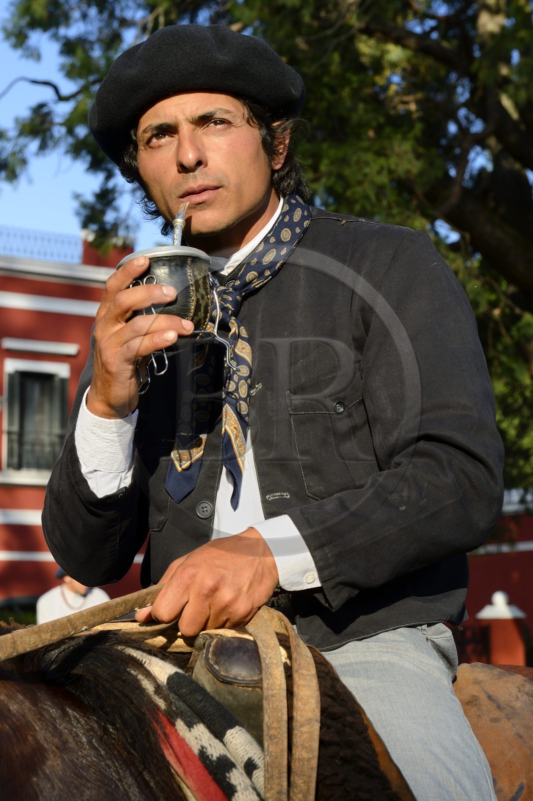 Argentina, Buenos Aires Province, San Antonio de Areco, estancia La Bamba de Areco, gaucho drinking Mate beverage (local herbal tea)