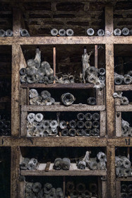 France, Côte-d'Or (21), Paysage culturel des climats de Bourgogne classés Patrimoine Mondial de l'UNESCO, Route des Grands Crus, vignoble de la Côte de Nuits, Gevrey-Chambertin, Domaine Dugat, cave à vin