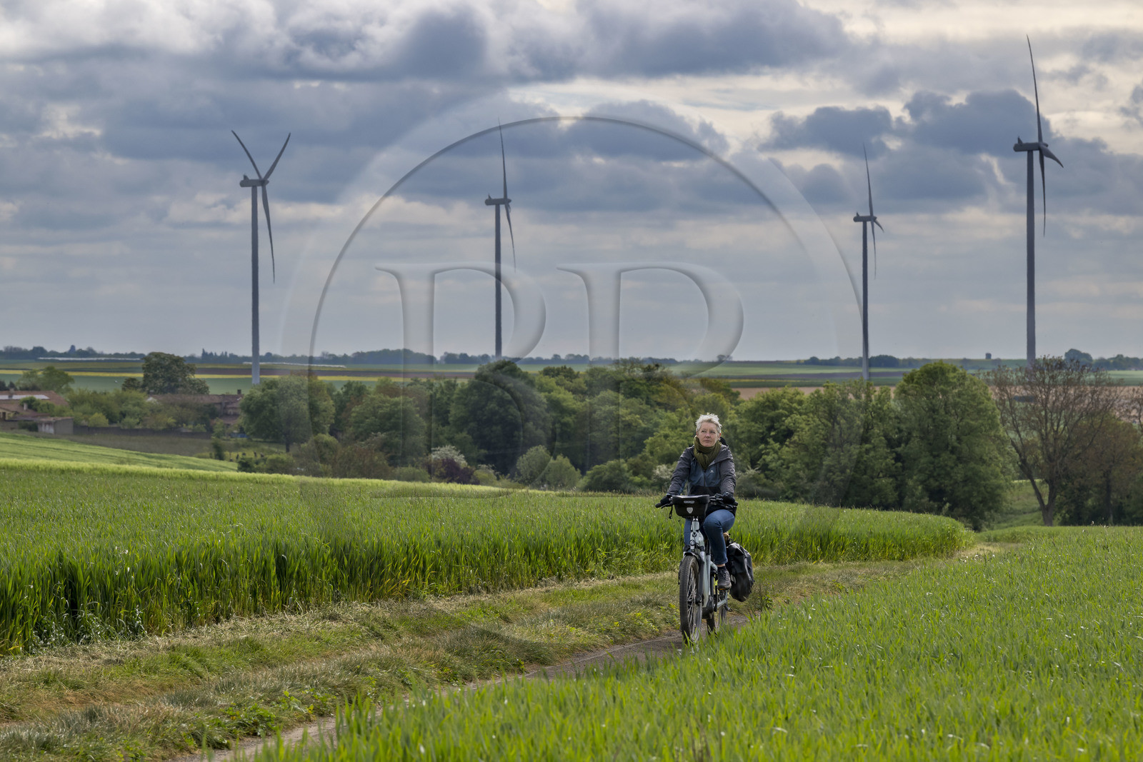 France, Vendee, Xanton Chassenon, cyclist on the Vendée Vélo Tour cycle route