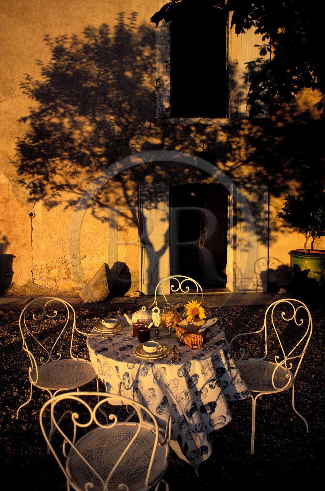 France, Gard (30), table de petit-déjeuner à la maison d' Hôte provençale Le mas de l' amandier
