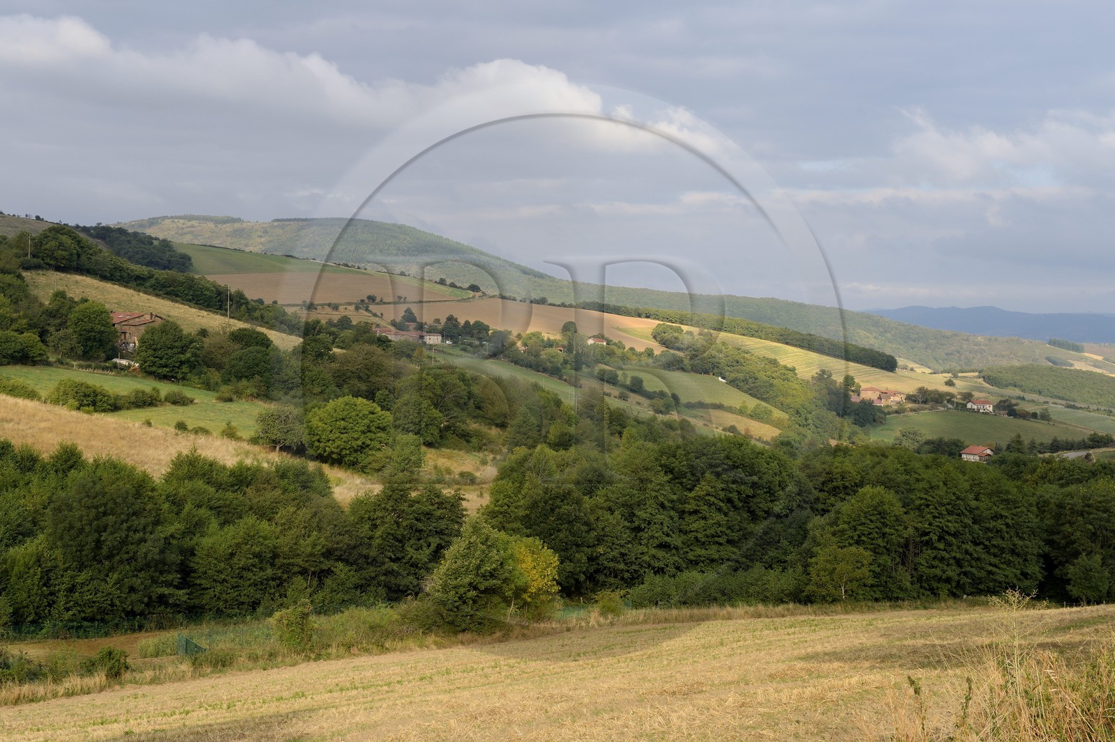 France, Loire (42), Parc Naturel Régional du Pilat,