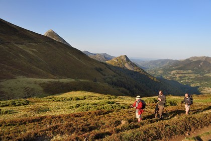 France, Cantal, Parc Naturel Régional des Volcans d'Auvergne (regional nature park of Auvergne volcanoes), Le Lioran, col de Rombiere (mountain pass) overlooking the Jordanne valley, hikers on the Way of St. James to Santiago de Compostela by Via Arverna, in the background the Puy Griou emerging on the left and the Griounou on its right