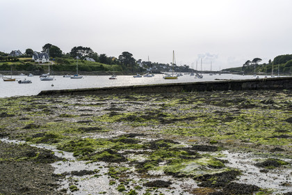 France, Finistère (29), Pays des Abers, Lannilis, l'estran à Prat-Ar-Coum en bordure de l'Aber Benoit