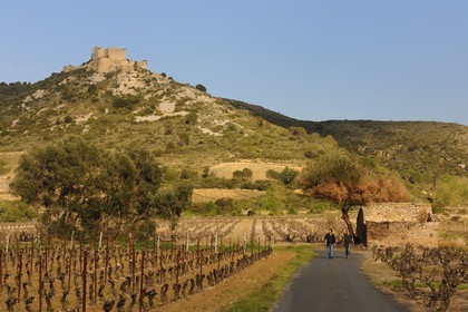 France, Aude (11), ruines du château cathare d’Aguillar dominant les vignes de Tuchan dans les Corbières
