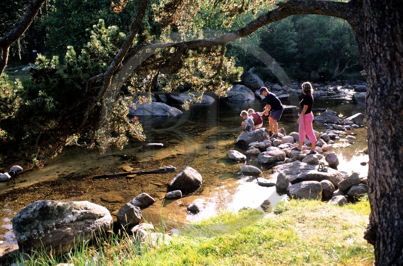 France, Pyrénées-Orientales (66), la rivière le Têt à sa source dans la vallée menant au lac des Bouillouses en Capcir