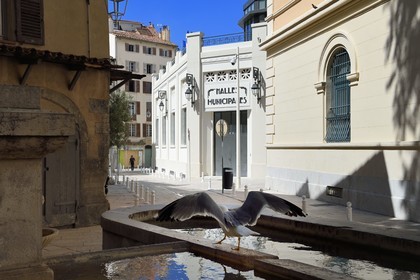 France, Var (83), Toulon, les anciennes halles municipales dans le style Art-déco transformées en halles gourmandes, goéland sur l'ancien lavoir de la place Saint-Vincent