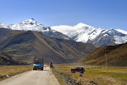 Azerbaijan, Quba (Guba) region, Greater Caucasus mountain range, along Xinaliq Yolu road towards Khinalug, breeder and his flock of sheep below the village of Qalaxudat