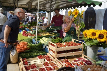 Allemagne, Bade-Wurtemberg, Fribourg en Brisgau, jour de marché sur la Munsterplatz