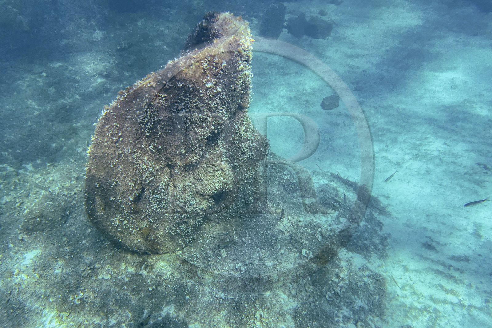 France, Alpes-Maritimes, Cannes, Lerins Islands, Sainte-Marguerite island, the underwater ecomuseum made up of monumental statues by the artist Jason deCaires Taylor, molded according to the faces of 6 inhabitants of Cannes and submerged at a distance ranging from 84 to 132 meters from the shore for a depth of 3 to 5 meters