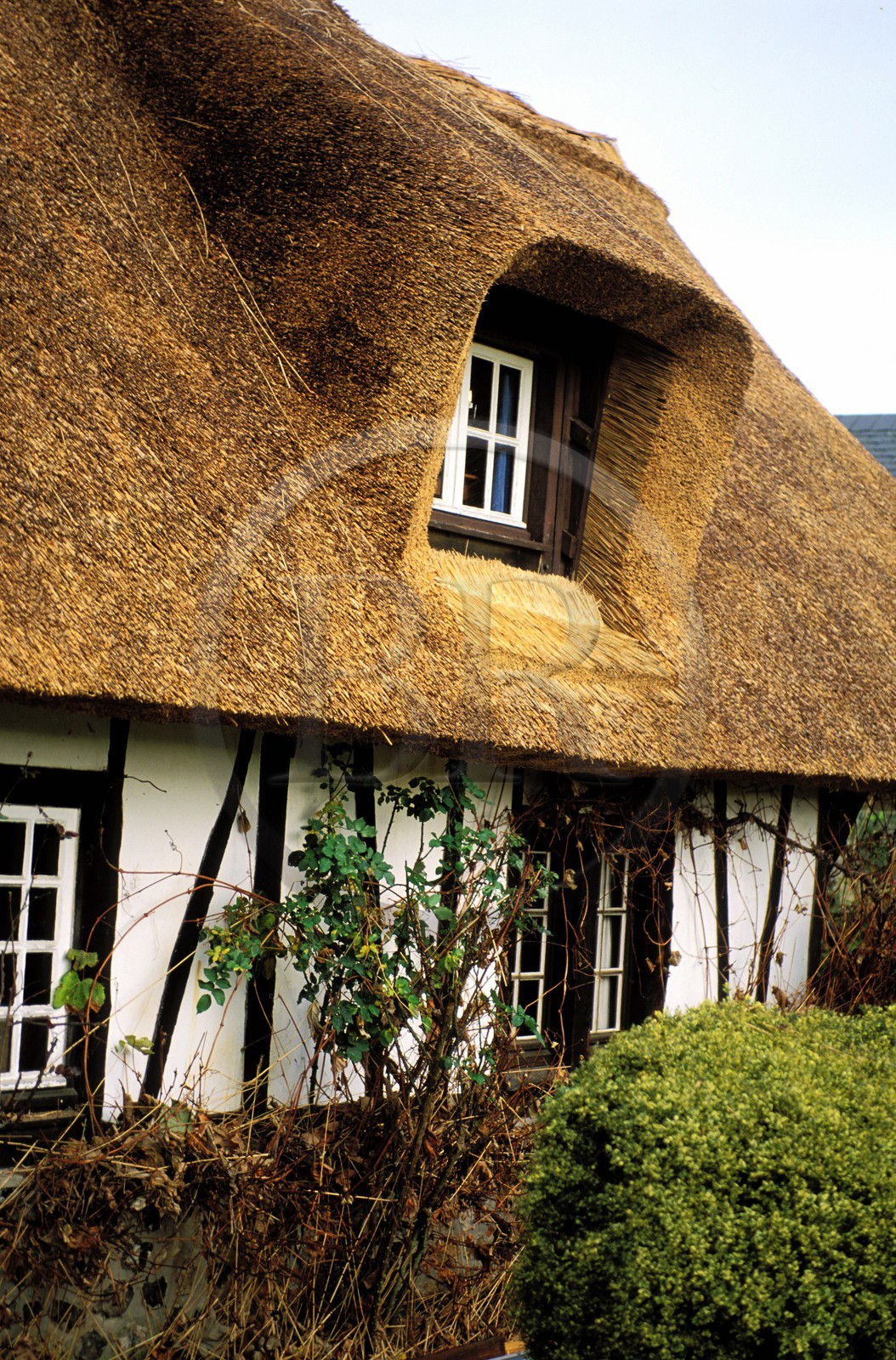 France, Eure, Pont Audemer, house with a traditional thatched roof