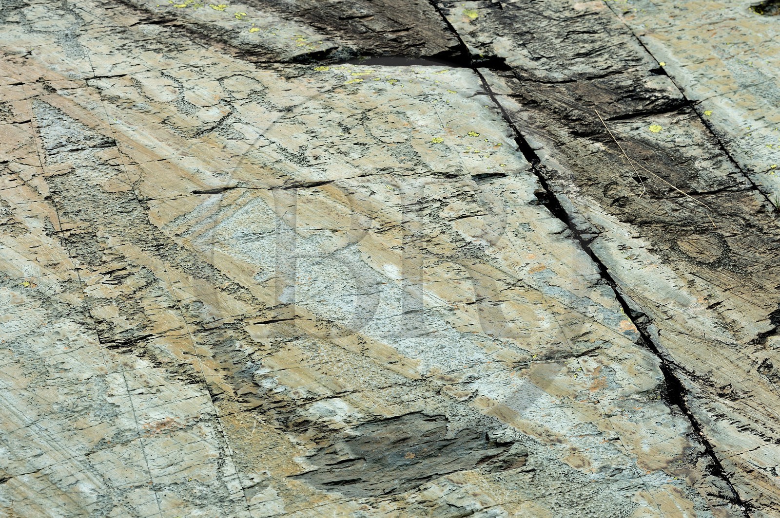 France, Alpes-Maritimes (06), parc national du Mercantour, Vallée des Merveilles parsemée de milliers de gravures rupestres de l'Age de bronze, dalle de schiste appelée la Roche de l’Autel, gravures de figures corniformes et de poignards