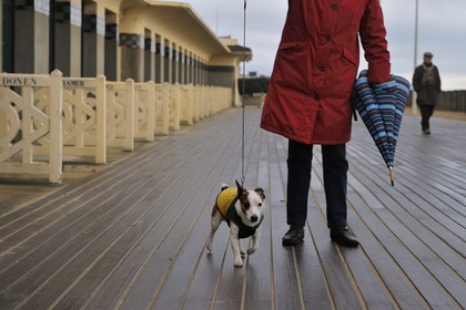 France, Calvados (14), Pays d'Auge, Deauville, les célèbres Planches sur la plage