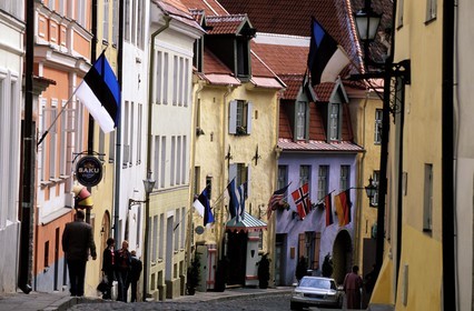 Estonie (Pays Baltes), région de Harju, Tallinn, capitale européenne de la culture 2011, la rue pavée Olevimagi dans la vieille ville