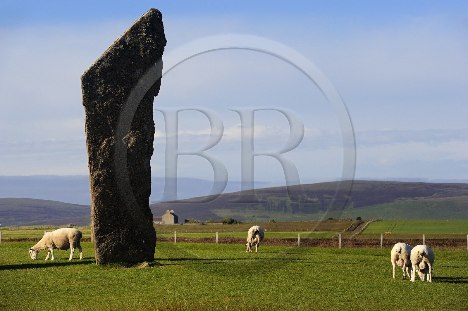 Royaume-Uni, Ecosse, Iles Orcades, Ile de Mainland, Loch of Stenness, pierres levées de Stenness, classées Patrimoine Mondial de l' UNESCO