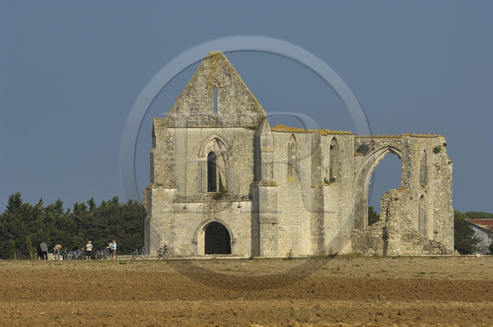 France, Charente-Maritime (17), ile de Ré, abbaye des Châteliers au sud de La Flotte