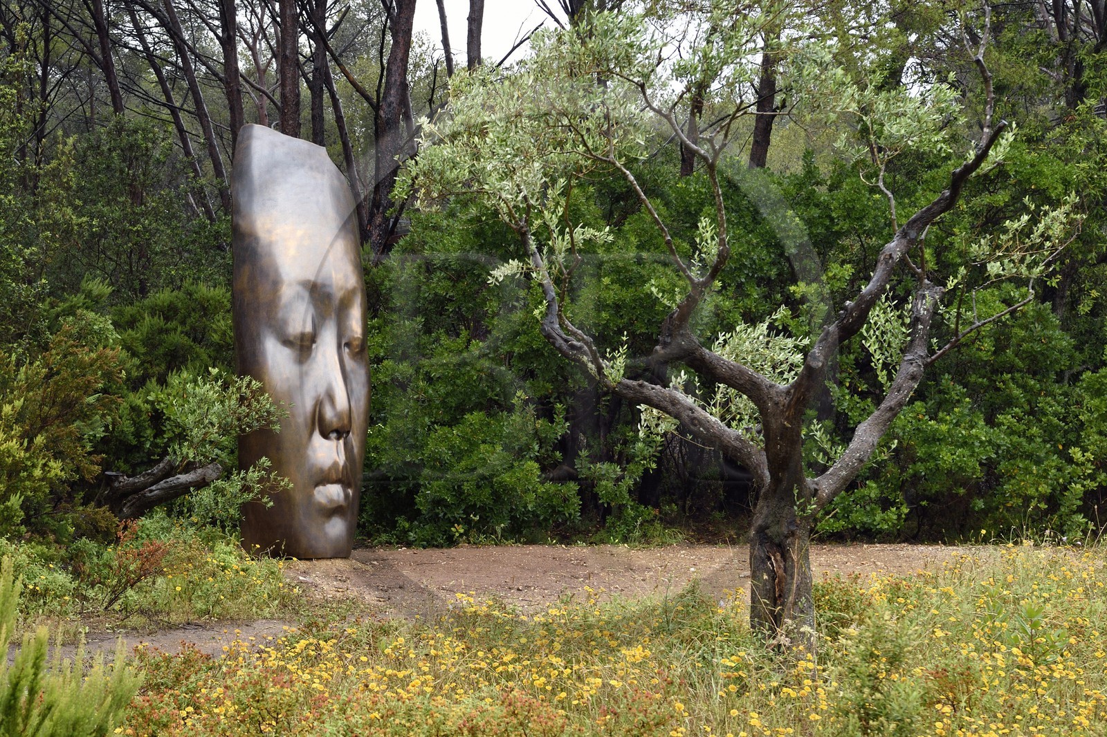 France, Var (83), Iles d'Hyères, parc national de Port Cros, Ile de Porquerolles, la Fondation Carmignac, une sculpture de Les trois alchimistes de Jaume Plensa