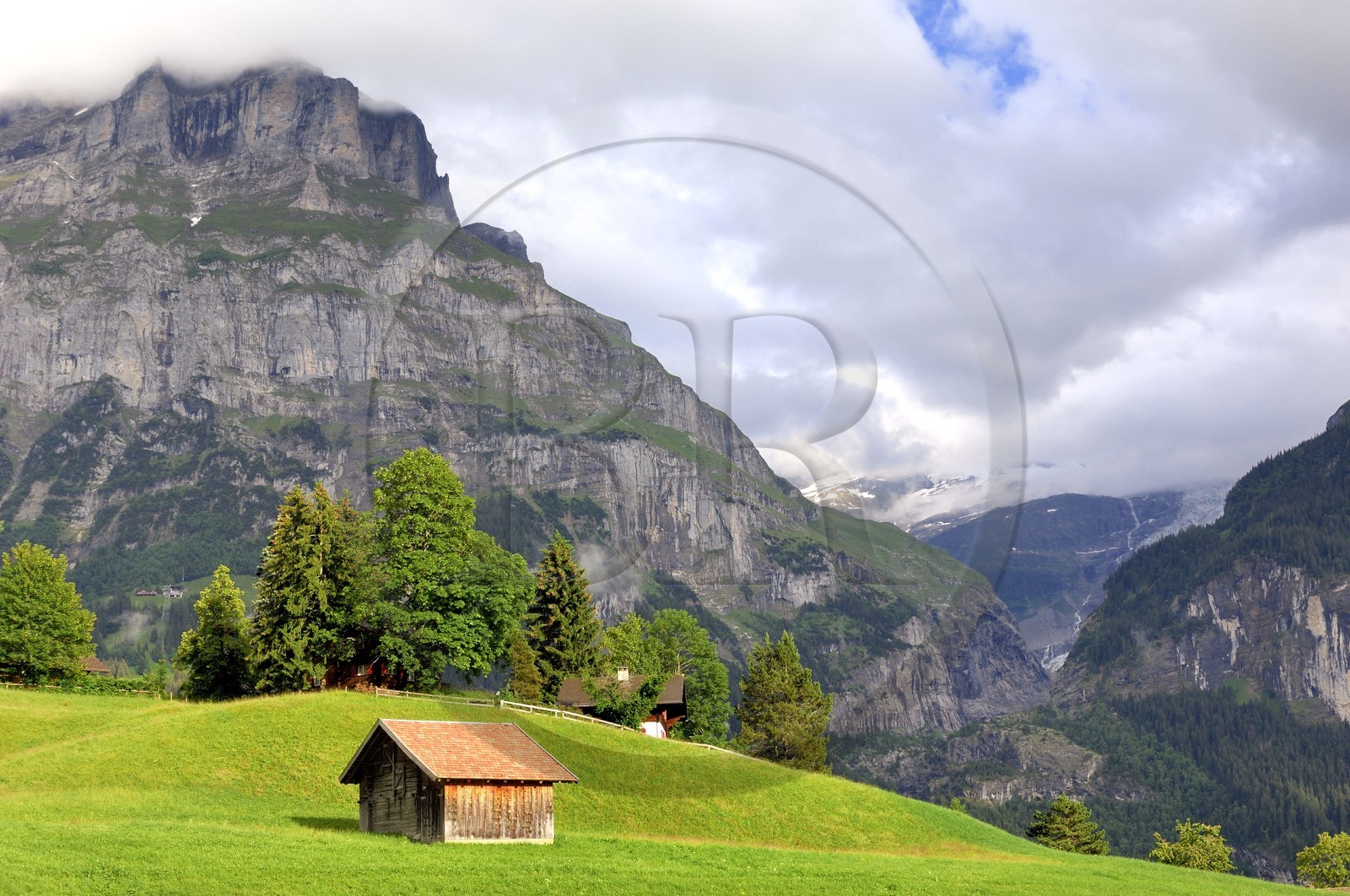 Suisse, Canton de Berne, Oberland Bernois, Grindelwald, montagne du Wetterhorn