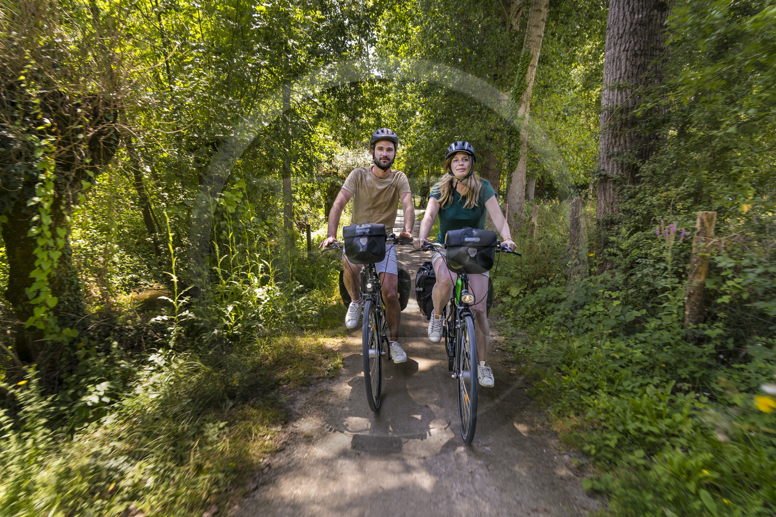France, Deux-Sèvres (79), le Marais Poitevin, la Venise Verte, Sansais, bicycle journey on the Vélo Francette cycle path, bike with a trailer carrying camping equipment