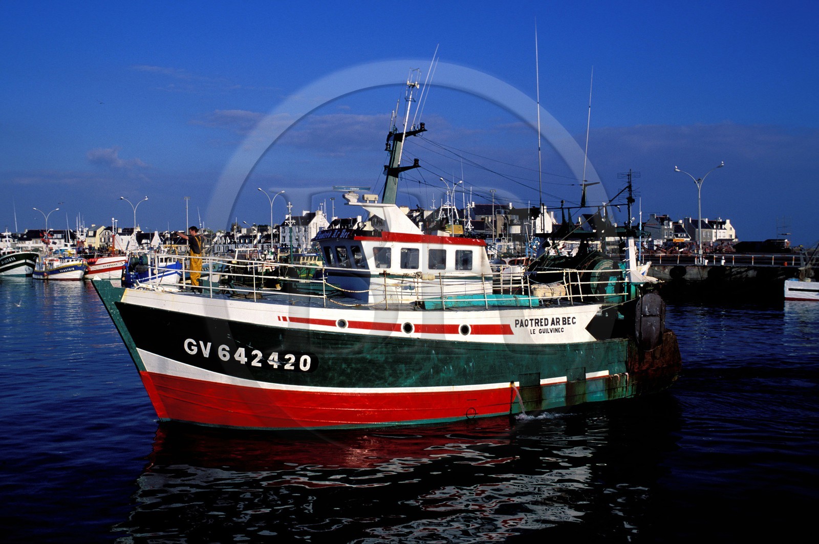 France, Finistere, return of fishing in the port of the Guilvinec