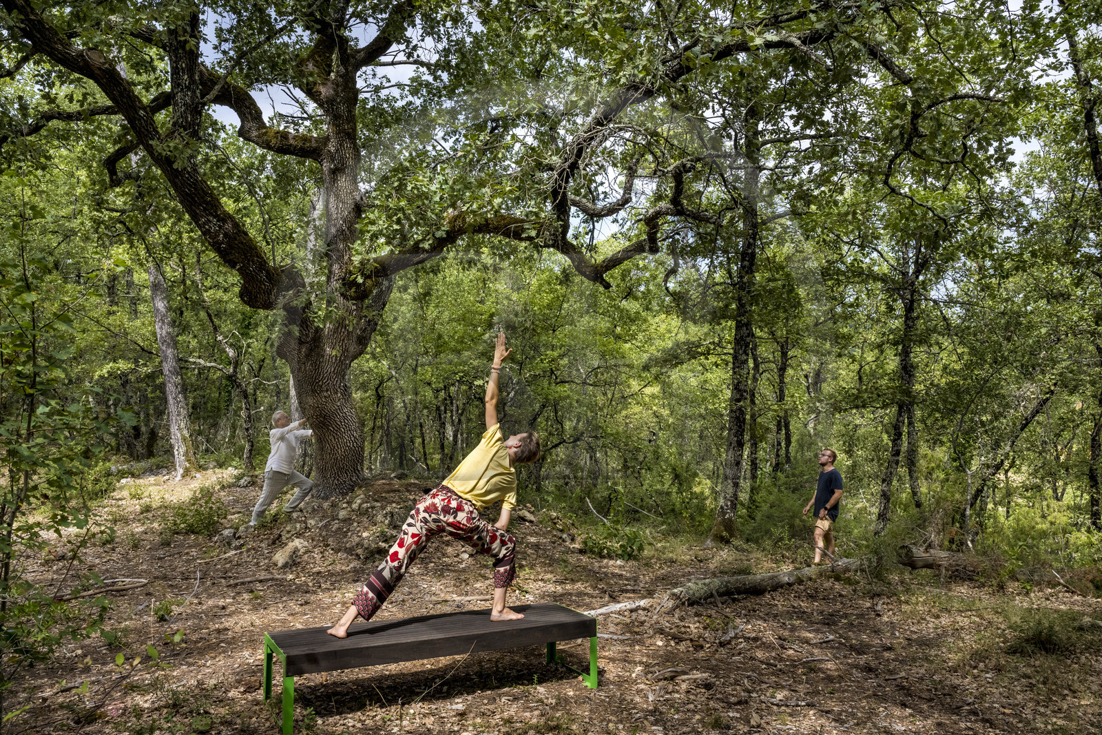 France, Var (83), Provence Verte, Bras, Académie du Bain de Forêt Provençale, forêt du domaine Le Peyrourier - une campagne en Provence, Constanze Coisne guide le Shinrin Yoku