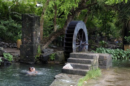 France, île de la Réunion, commune de Saint-Paul, le chemin du Tour des Roches, moulin à eau de La Perrière, la roue est le dernier élément d'un moulin à manioc des années 1820