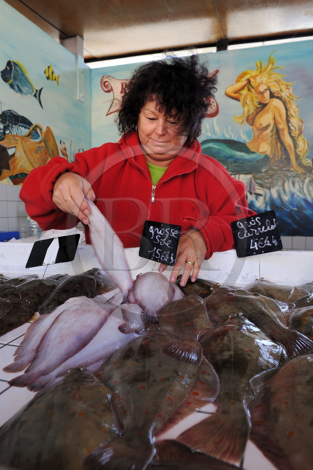 France, Seine-Maritime (76), Le Havre, port de pêche, marché aux poissons pratiquant la vente directe