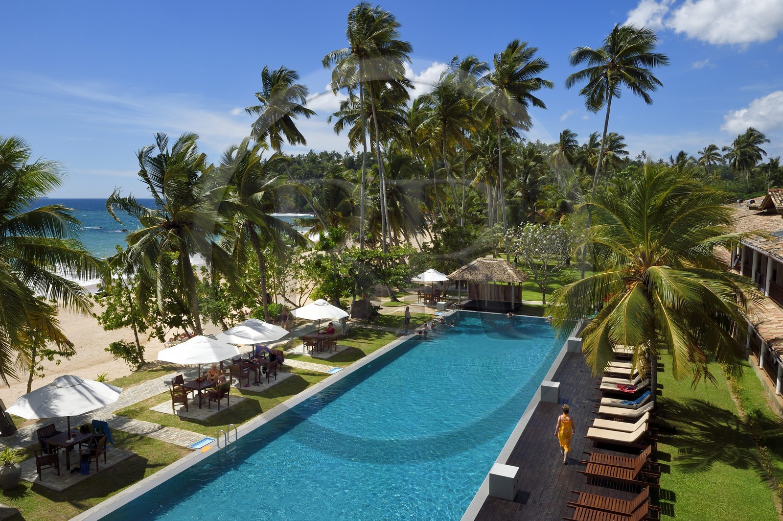 Sri Lanka, Province du Sud, Weligama, plage de Mirissa, Paradise Beach Club hotel