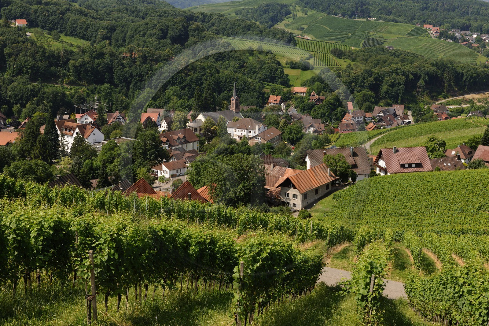 Allemagne, Forêt Noire, Schwartzwald, Bade-Würtemberg, Sasbachwalden entouré par son vignoble
