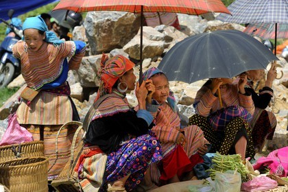 Vietnam, province de Lao Cai, région de Bac Ha, marché de Can Cau, femmes de la minorité Hmong Fleur