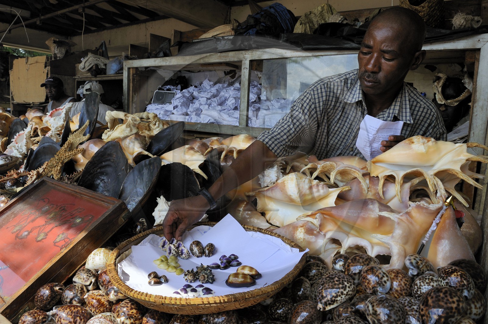 Tanzania, Dar es-Salaam, vendors of shells & co at the Kivukoni fish market