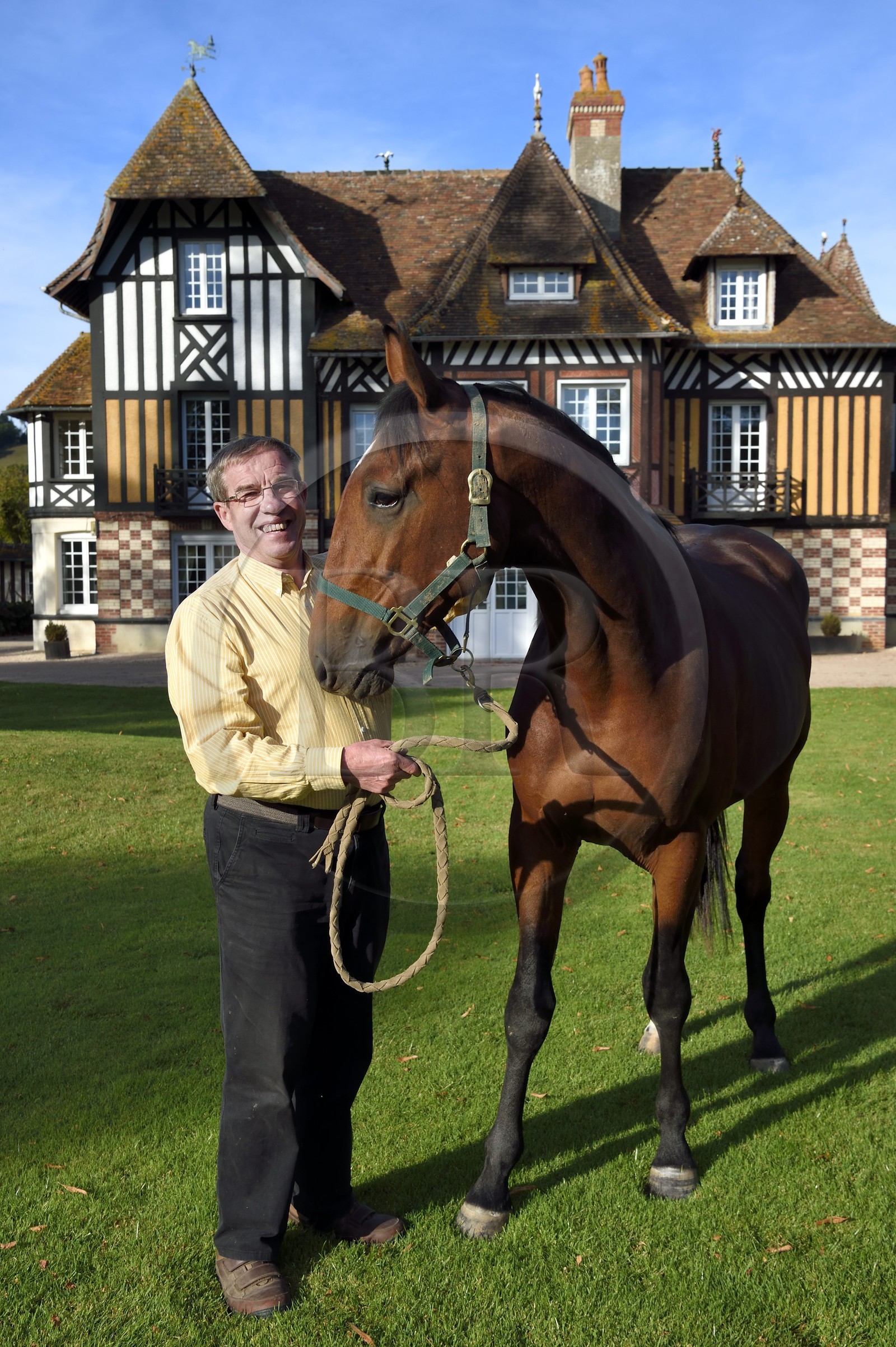 France, Calvados (14), Pays d'Auge, Beuvron-en-Auge, labellisé Les Plus Beaux Villages de France, manoir du Haras de Sens, le propriétaire Philippe David avec son cheval Gold de Padd (fils de l'étalon Ready Cash)